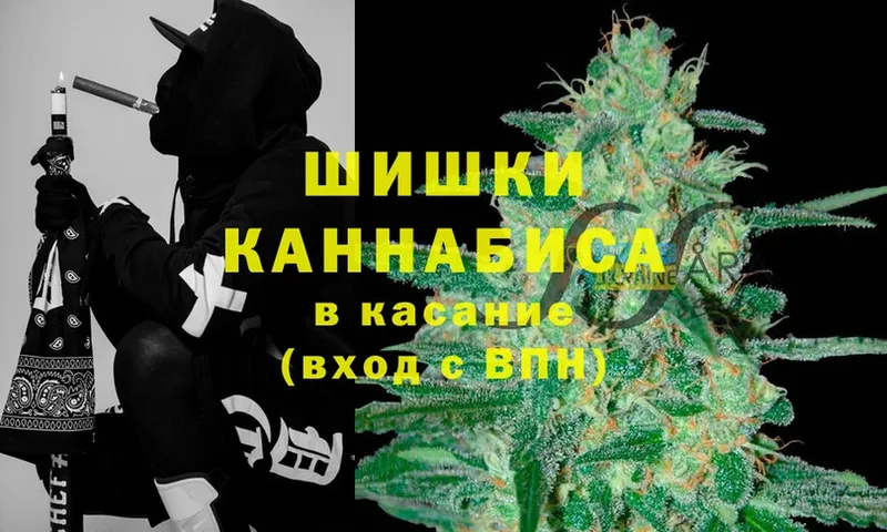 Конопля THC 21%  как найти   Шагонар 